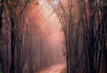 中国女子足球队再获胜利，国人为之振奋