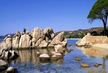 足球场上，女队员们奋发向前